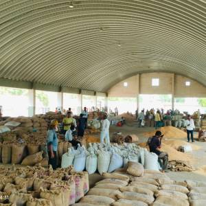 4_Proflex_Dome_1_original