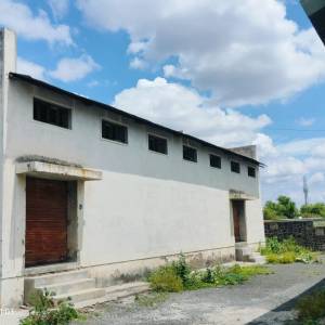 3_tarana_godauna_original