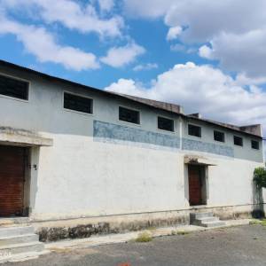 4_tarana_godauna_original