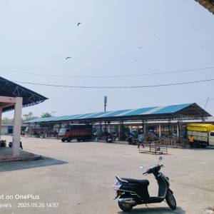 33_TMC_Tin_Shed_original