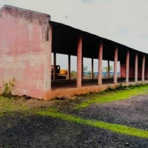 8_boraganva_tina_seda_original